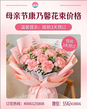 上海松江花店母亲节康乃馨花束