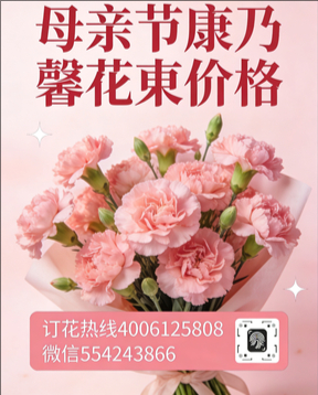 上海松江花店母亲节康乃馨花束